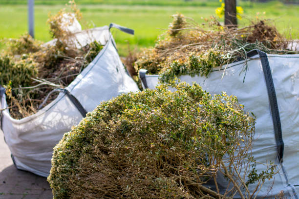 Best Dumpster Rental Services  in Mmerce City, CO